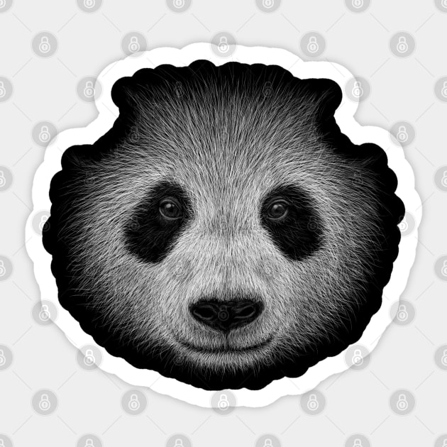 Fancy Panda Illustration Funky Panda-Bear Drawing Sticker by SkizzenMonster